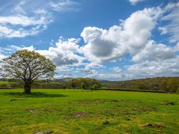 Villa Brynhir Farm Llandrindod Wells Exterior foto